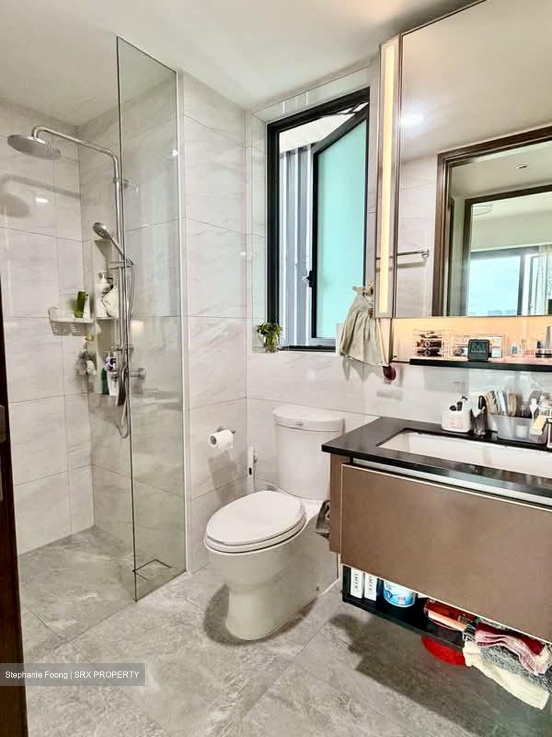 Normanton Park (D5), Apartment #568183101